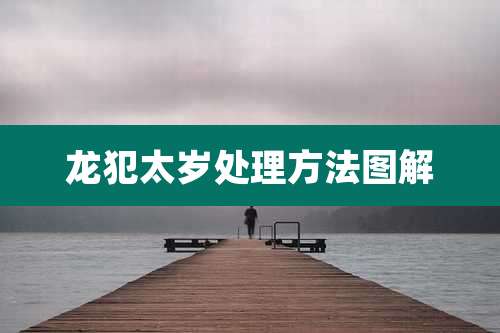 龙犯太岁处理方法图解