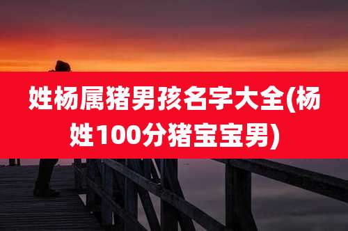 姓杨属猪男孩名字大全(杨姓100分猪宝宝男)