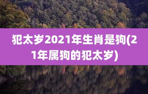 犯太岁2021年生肖是狗(21年属狗的犯太岁)