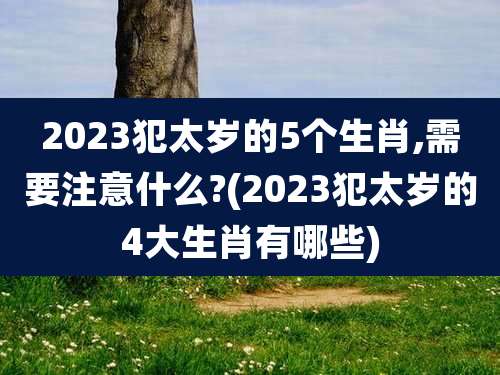 2023犯太岁的5个生肖,需要注意什么?(2023犯太岁的4大生肖有哪些)