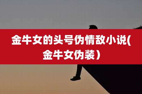 金牛女的头号伪情敌小说(金牛女伪装)