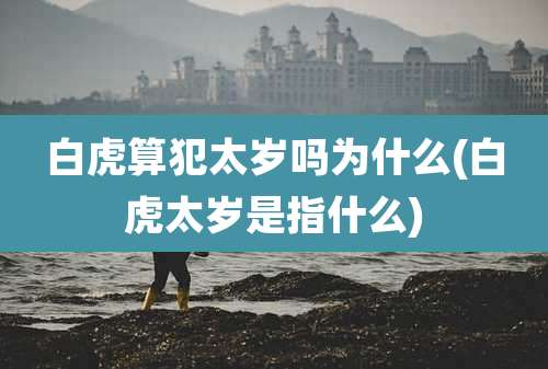 白虎算犯太岁吗为什么(白虎太岁是指什么)