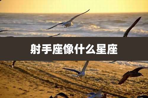 射手座像什么星座