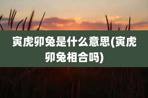 寅虎卯兔是什么意思(寅虎卯兔相合吗)