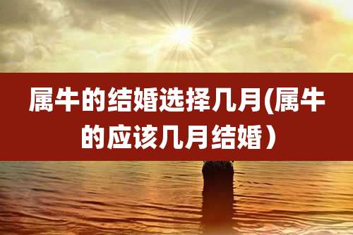 属牛的结婚选择几月(属牛的应该几月结婚）
