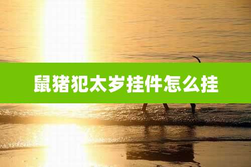 鼠猪犯太岁挂件怎么挂