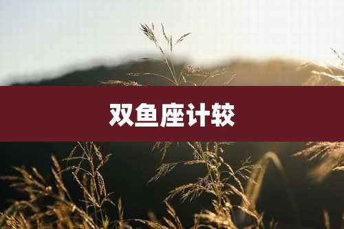 双鱼座计较