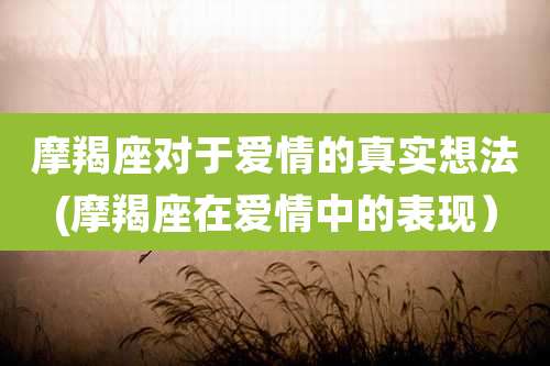 摩羯座对于爱情的真实想法(摩羯座在爱情中的表现)