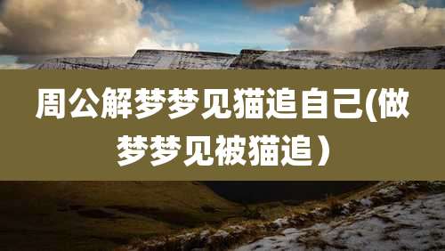 周公解梦梦见猫追自己(做梦梦见被猫追)