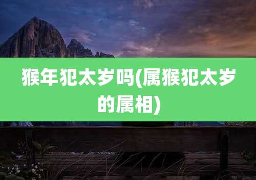 猴年犯太岁吗(属猴犯太岁的属相)