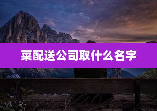 菜配送公司取什么名字