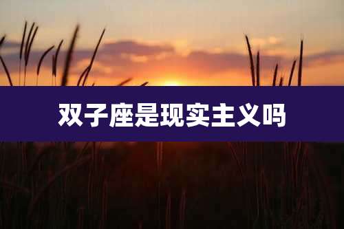 双子座是现实主义吗