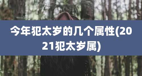 今年犯太岁的几个属性(2021犯太岁属)