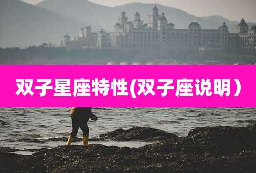 双子星座特性(双子座说明)