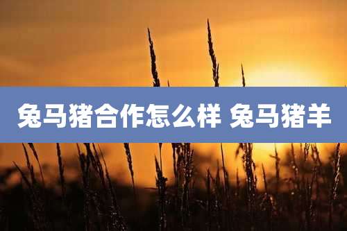 兔马猪合作怎么样 兔马猪羊