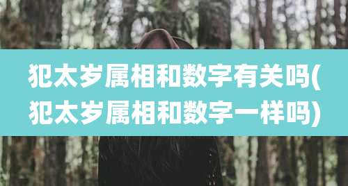 犯太岁属相和数字有关吗(犯太岁属相和数字一样吗)
