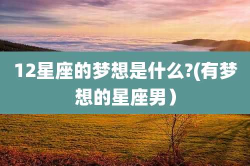 12星座的梦想是什么?(有梦想的星座男)