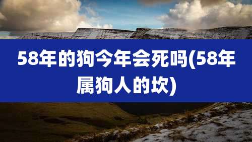 58年的狗今年会死吗(58年属狗人的坎)
