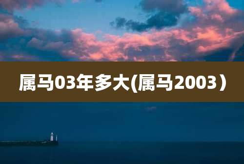 属马03年多大(属马2003）