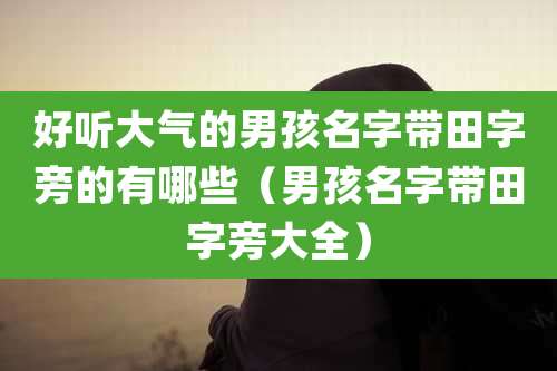 好听大气的男孩名字带田字旁的有哪些(男孩名字带田字旁大全)