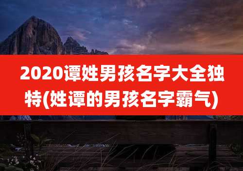 2020谭姓男孩名字大全独特(姓谭的男孩名字霸气)