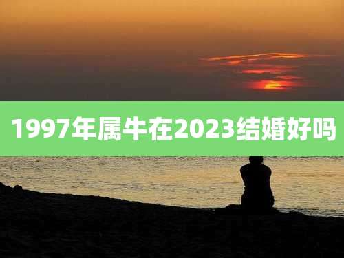 1997年属牛在2023结婚好吗