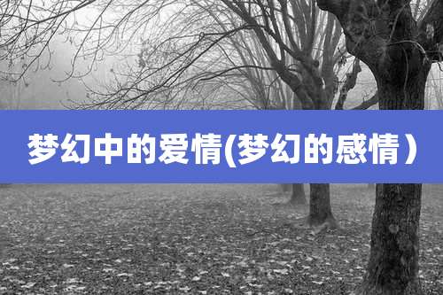 梦幻中的爱情(梦幻的感情)
