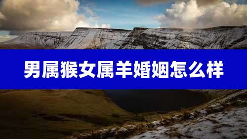 男属猴女属羊婚姻怎么样