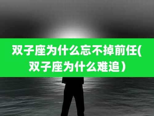 双子座为什么忘不掉前任(双子座为什么难追）