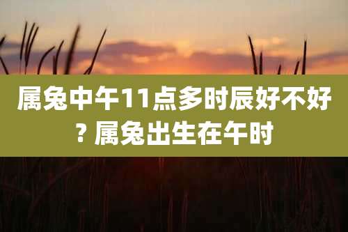 属兔中午11点多时辰好不好? 属兔出生在午时