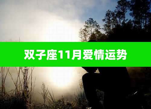 双子座11月爱情运势