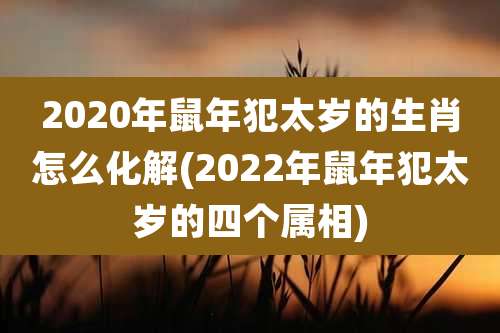 2020年鼠年犯太岁的生肖怎么化解(2022年鼠年犯太岁的四个属相)