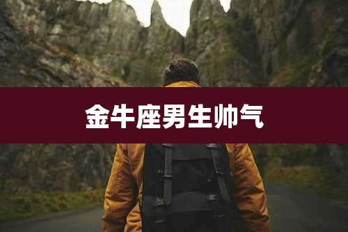 金牛座男生帅气