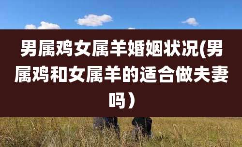 男属鸡女属羊婚姻状况(男属鸡和女属羊的适合做夫妻吗)