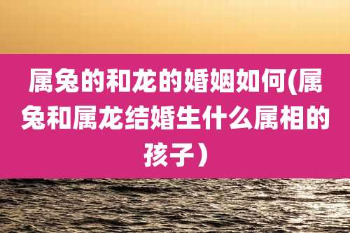 属兔的和龙的婚姻如何(属兔和属龙结婚生什么属相的孩子）