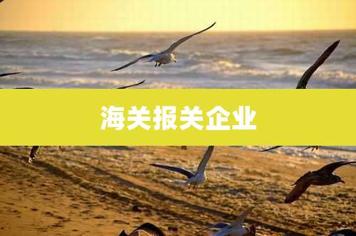 海关报关企业