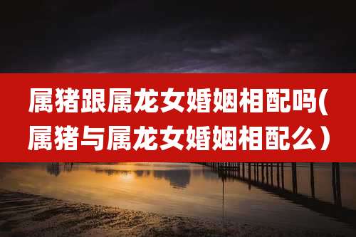 属猪跟属龙女婚姻相配吗(属猪与属龙女婚姻相配么)
