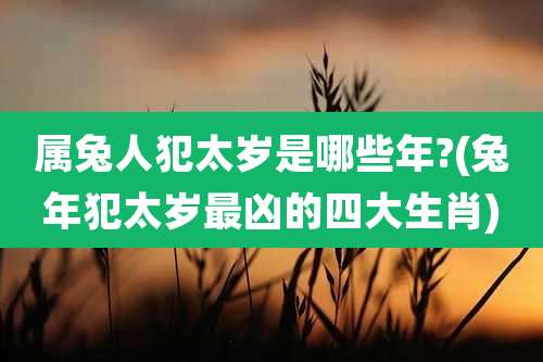 属兔人犯太岁是哪些年?(兔年犯太岁最凶的四大生肖)