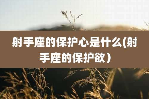 射手座的保护心是什么(射手座的保护欲)