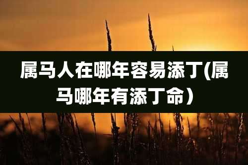 属马人在哪年容易添丁(属马哪年有添丁命)