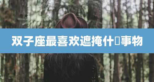 双子座最喜欢遮掩什麼事物