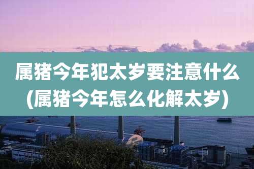 属猪今年犯太岁要注意什么(属猪今年怎么化解太岁)