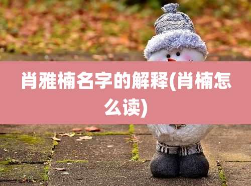 肖雅楠名字的解释(肖楠怎么读)