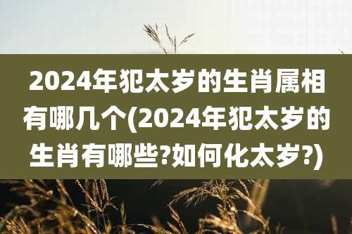 2024年犯太岁的生肖属相有哪几个(2024年犯太岁的生肖有哪些?如何化太岁?)