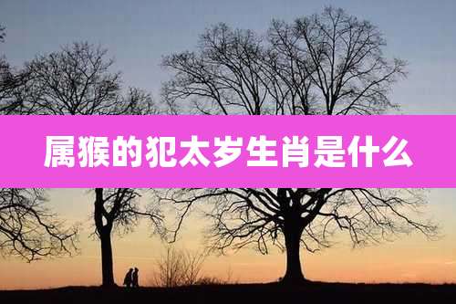 属猴的犯太岁生肖是什么