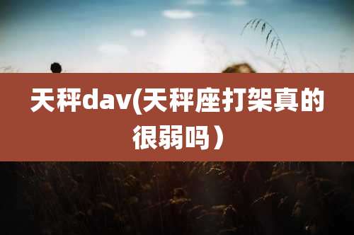 天秤dav(天秤座打架真的很弱吗）