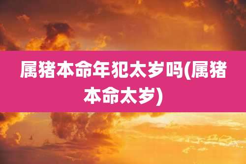 属猪本命年犯太岁吗(属猪本命太岁)