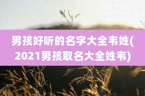 男孩好听的名字大全韦姓(2021男孩取名大全姓韦)