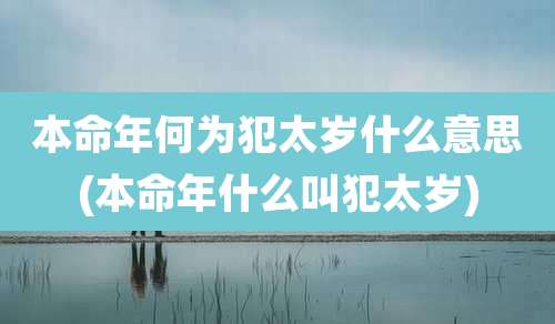 本命年何为犯太岁什么意思(本命年什么叫犯太岁)