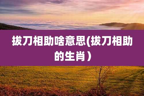 拔刀相助啥意思(拔刀相助的生肖)